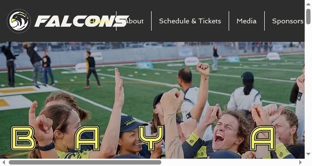 Screenshot of falconsultimate.com