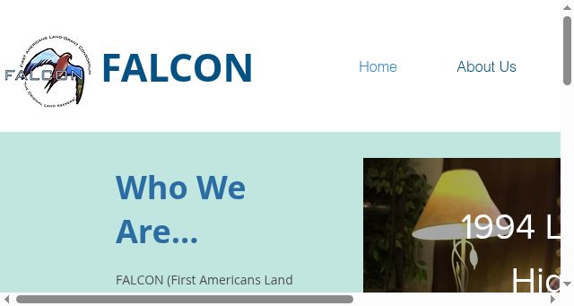 Screenshot of falcontribalcollege.org