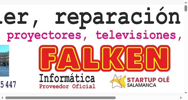 Screenshot of falkeninformaticasalamanca.com