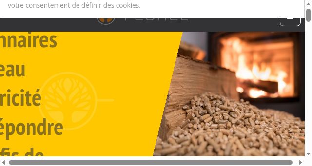 Screenshot of febhel.be