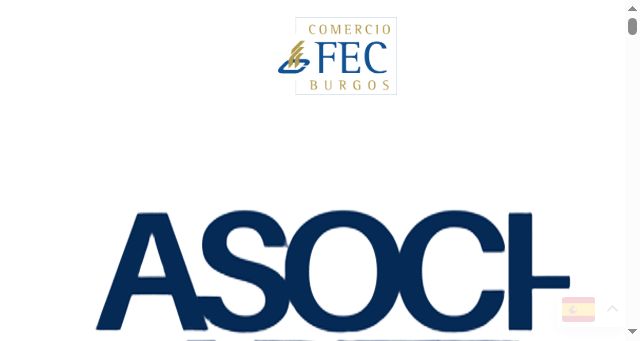Screenshot of fecburgos.com