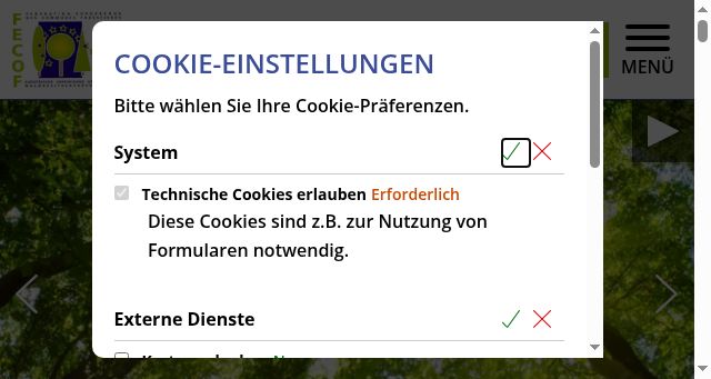 Screenshot of fecof.eu