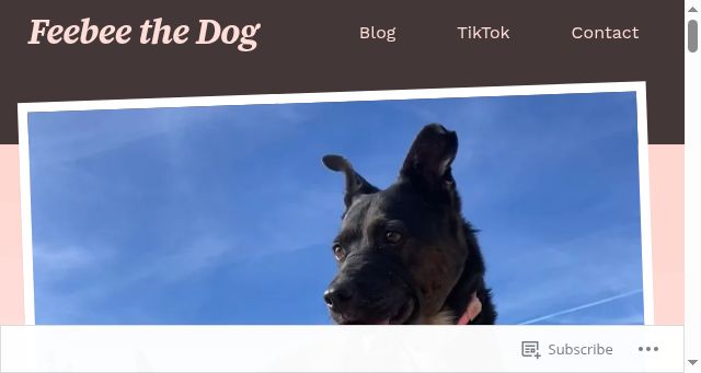 Screenshot of feeb.ee