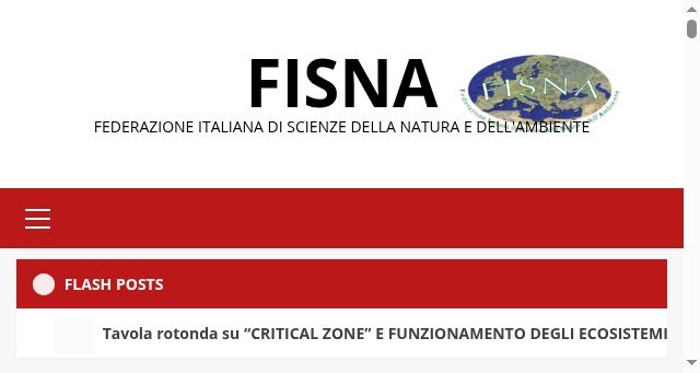 Screenshot of fisna.it