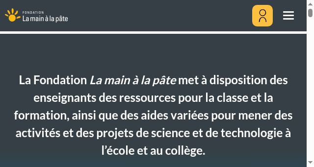 Screenshot of fondation-lamap.org