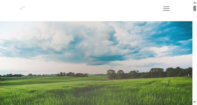 Screenshot of fondazioneecosistemi.org