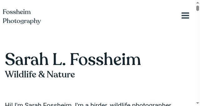 Screenshot of fossheim.photography