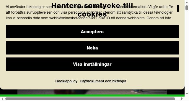 Screenshot of friends.se