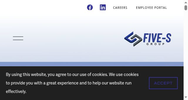 Screenshot of fsgrp.com