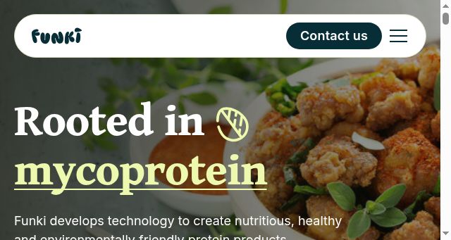 Screenshot of funki.ee