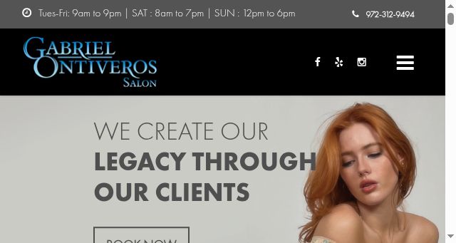 Screenshot of gabrielontiverossalon.com