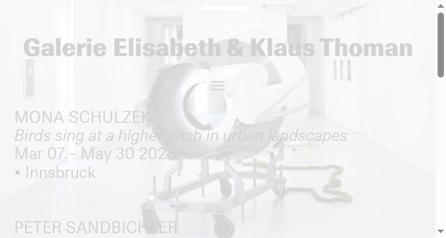 Screenshot of galeriethoman.com