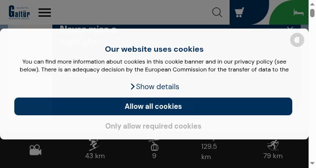 Screenshot of galtuer.com