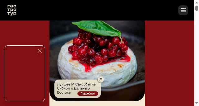 Screenshot of gastrotyr.ru