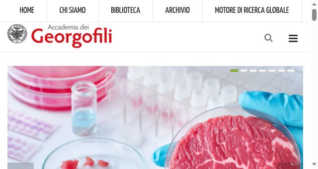 Screenshot of georgofili.it