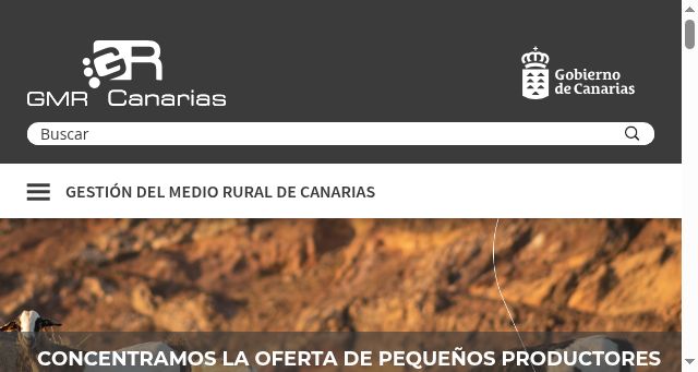 Screenshot of gmrcanarias.com