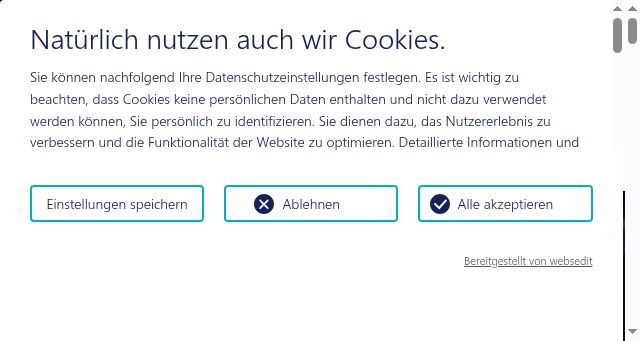 Screenshot of goepel.com
