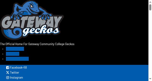 Screenshot of gogeckos.com