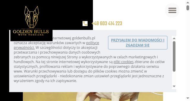 Screenshot of goldenbulls.pl