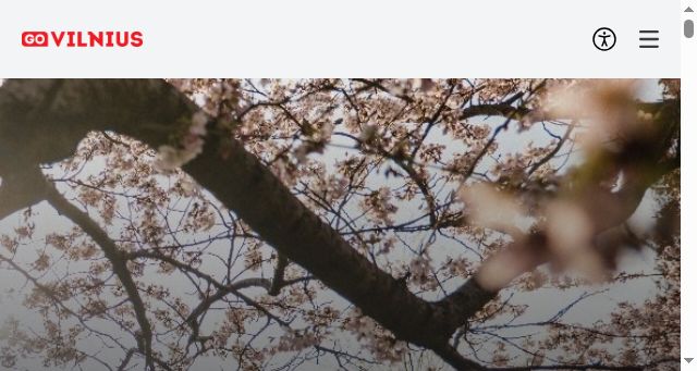 Screenshot of govilnius.lt