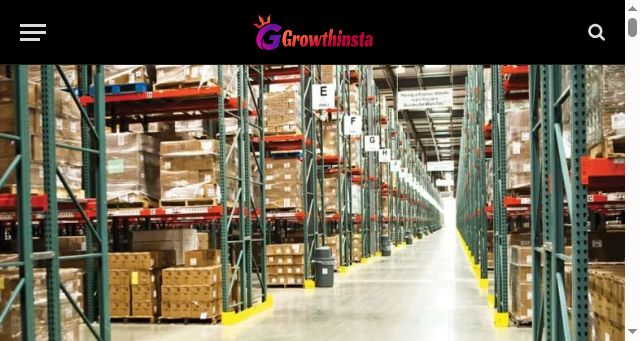 Screenshot of growthinsta.com