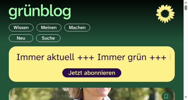 Screenshot of gruenblog.com