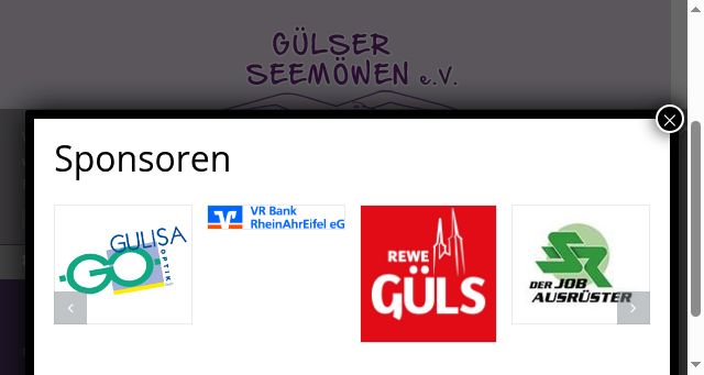 Screenshot of guelser-seemoewen.de