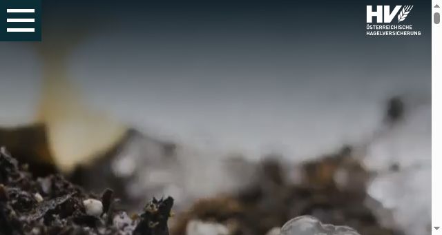 Screenshot of hagel.at