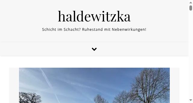 Screenshot of haldewitzka.de