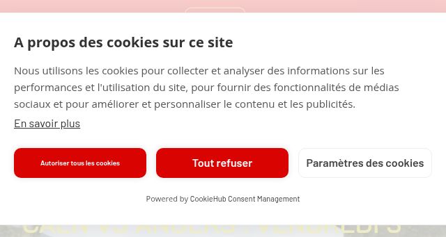 Screenshot of handballvikings.com