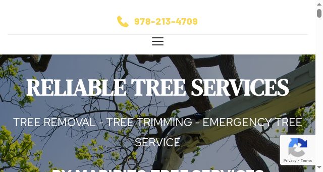 Screenshot of haverhilltreepros.com