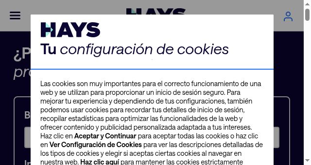 Screenshot of hays.es