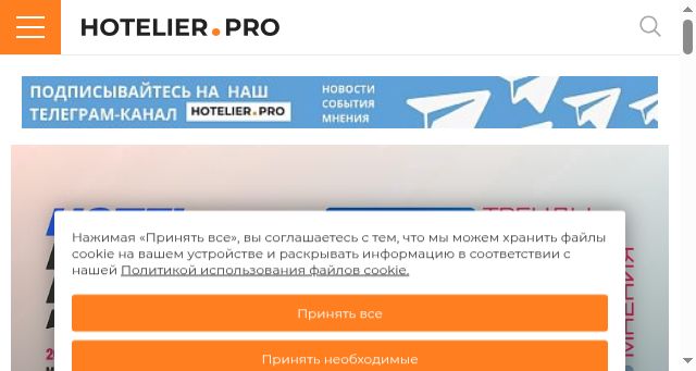 Screenshot of hotelier.pro