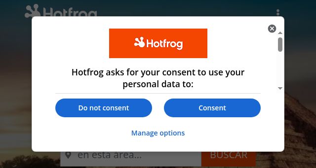 Screenshot of hotfrog.com.mx
