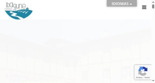 Screenshot of ibaigune.net