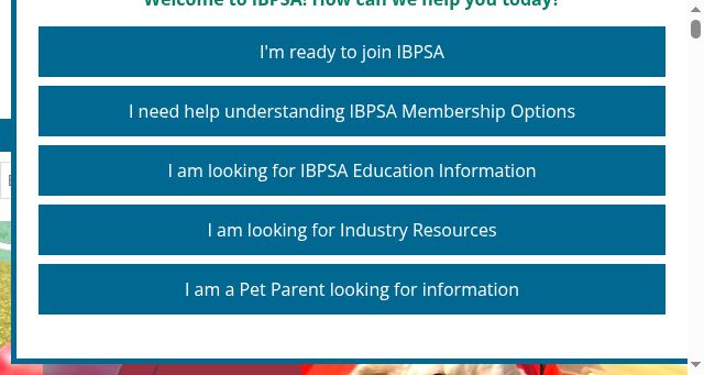 Screenshot of ibpsa.com
