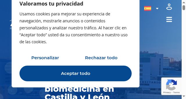 Screenshot of ibsal.es