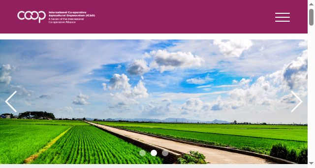 Screenshot of icao.coop