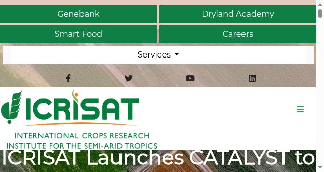Screenshot of icrisat.org