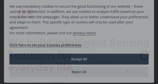 Screenshot of iee-sensing.com