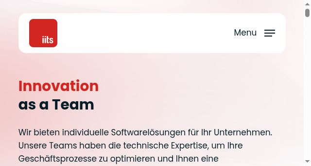 Screenshot of iits-consulting.de
