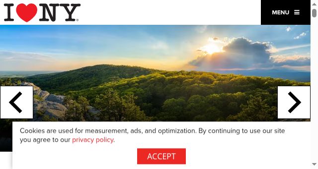 Screenshot of iloveny.com