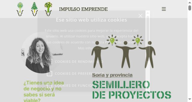 Screenshot of impulsoemprendesoria.es