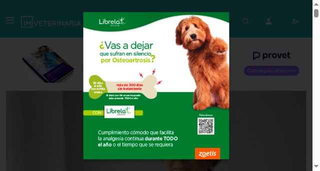 Screenshot of imveterinaria.es