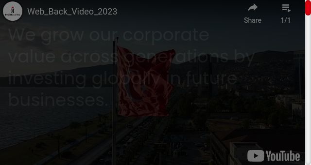 Screenshot of inciholding.com