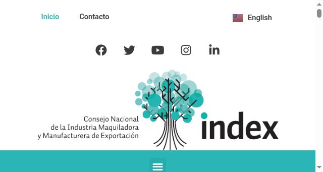 Screenshot of index.org.mx