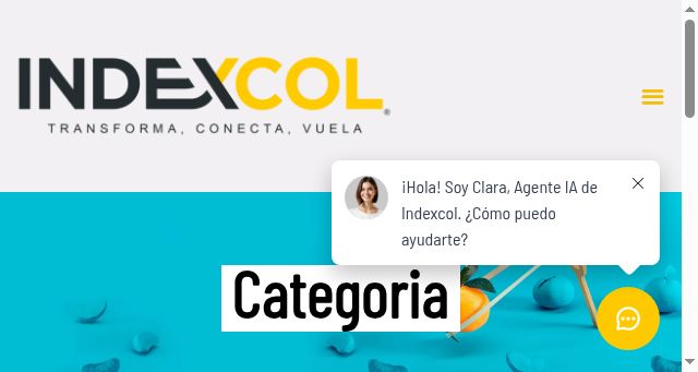 Screenshot of indexcol.com