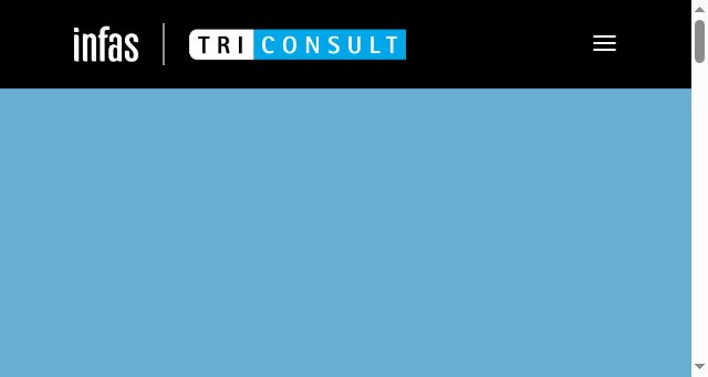 Screenshot of infas.at