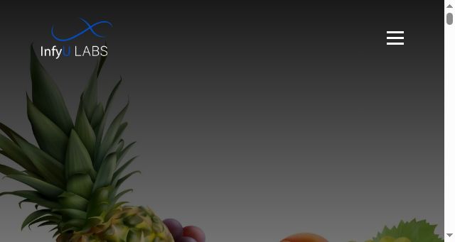 Screenshot of infyulabs.com