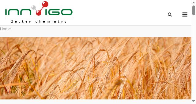 Screenshot of innvigo.lt